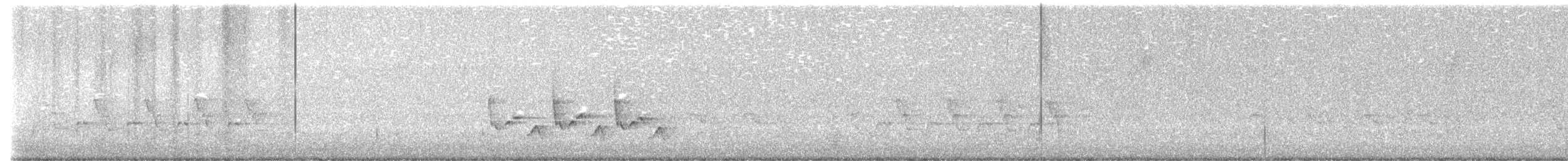 チャバラマユミソサザイ - ML623489687