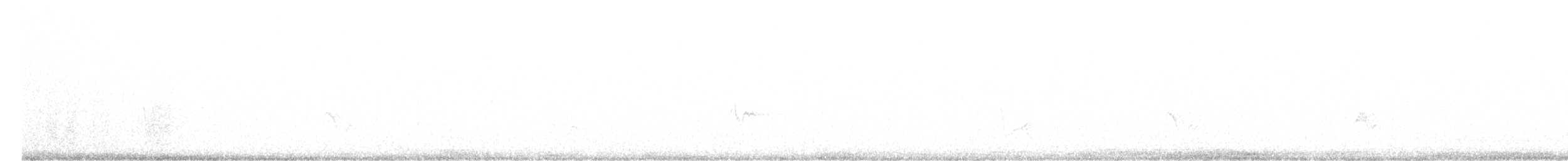Gray Vireo - ML623491063
