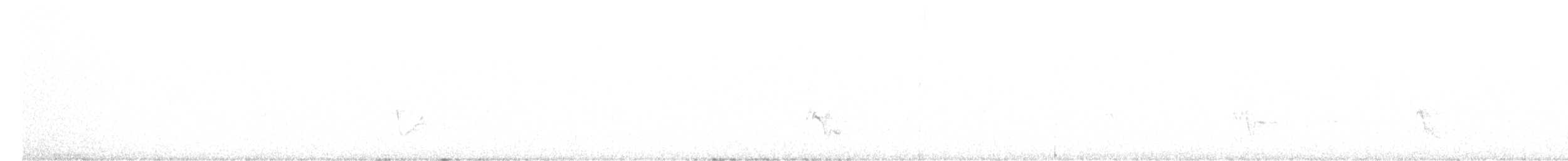 Gray Vireo - ML623491108