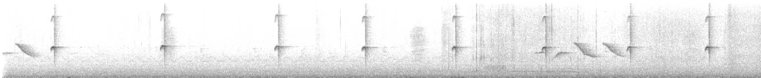 Giant Hummingbird - ML623491823