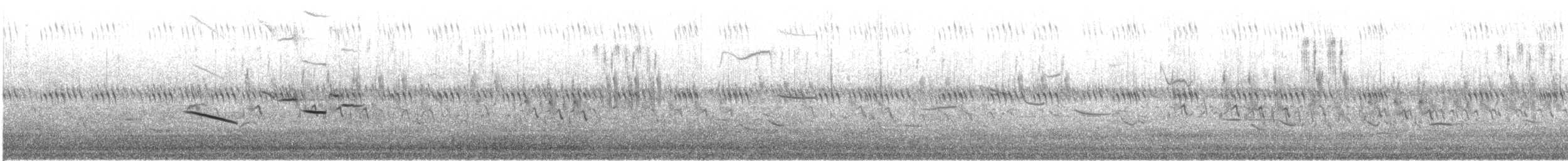 englerketrupial (magna gr.) - ML623492455