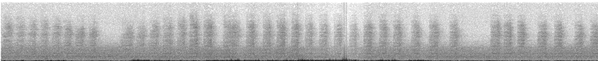 チャバラマユミソサザイ - ML623500209