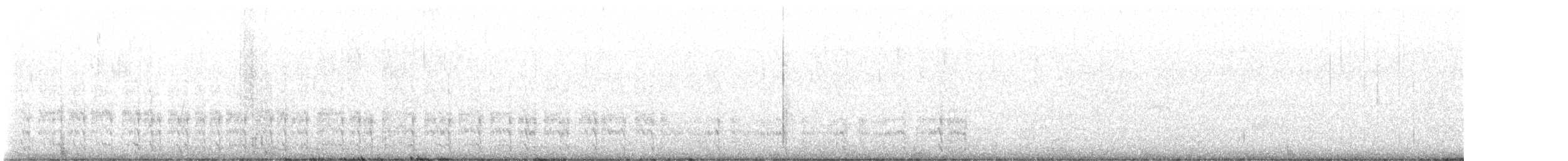 Polluela Negruzca (jamaicensis/coturniculus) - ML623504514