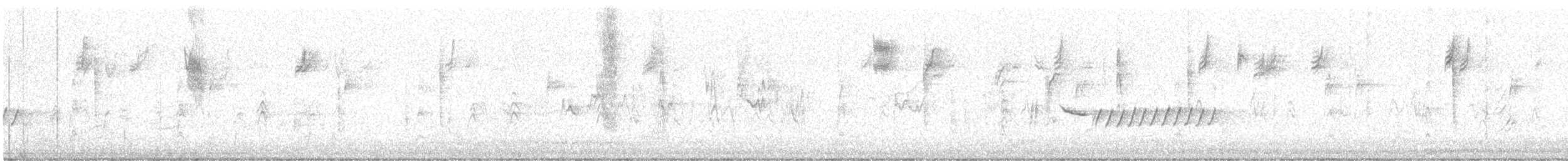 Canada Warbler - ML623506901