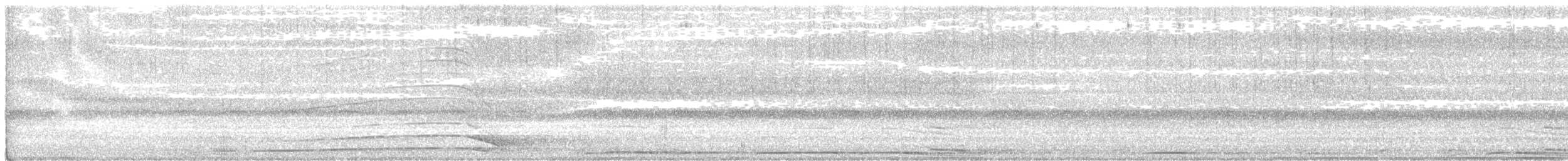 Barred Owl - ML623513299