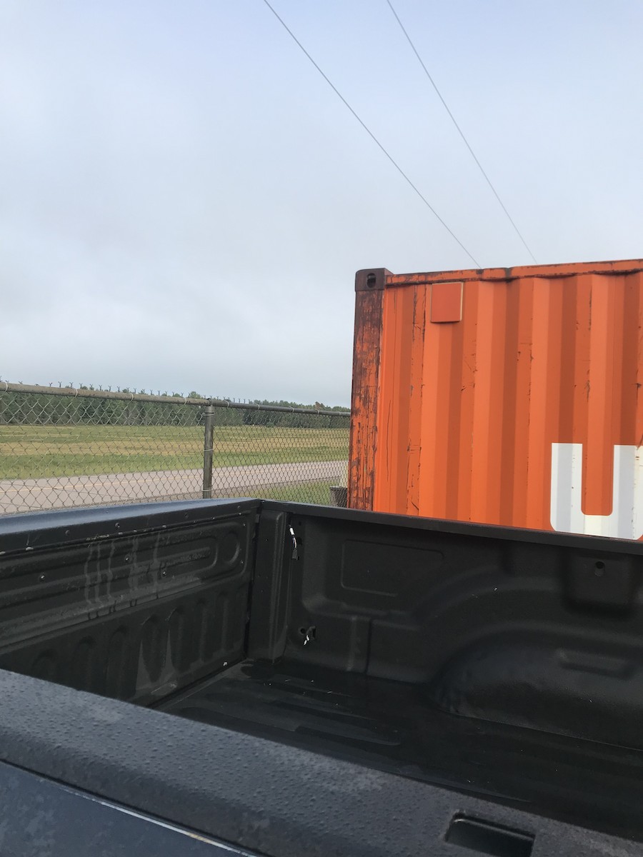 Vesper Sparrow - ML623515186