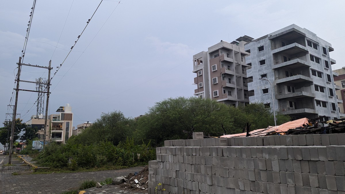 印度鵲椋鳥 - ML623517243