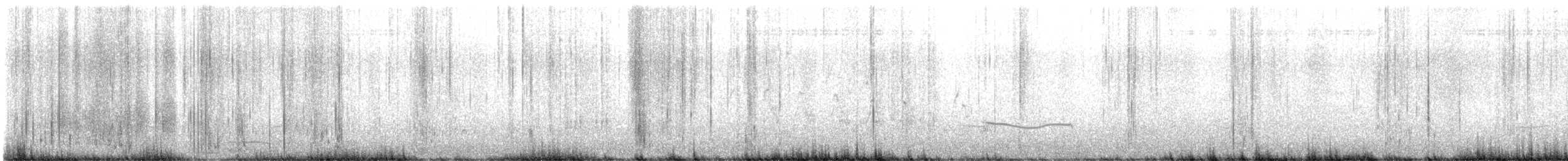 Black-bellied Plover - ML623519487