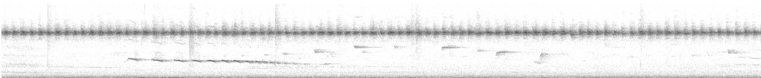 Plaintive Cuckoo - ML623526319