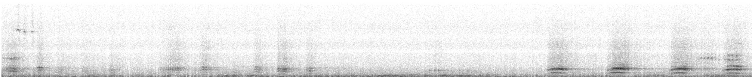 Common Raven - ML623532902
