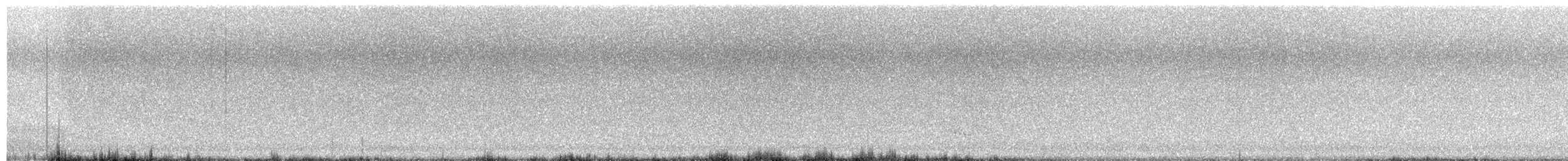 Royal Tern - ML623535497
