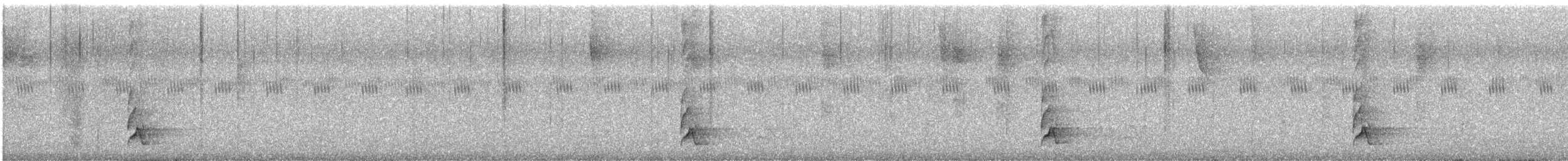 Swallow-tailed Manakin - ML623535637