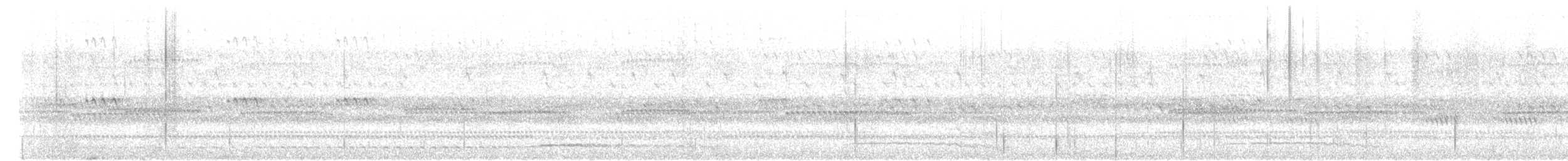 Eastern Screech-Owl - ML623541963