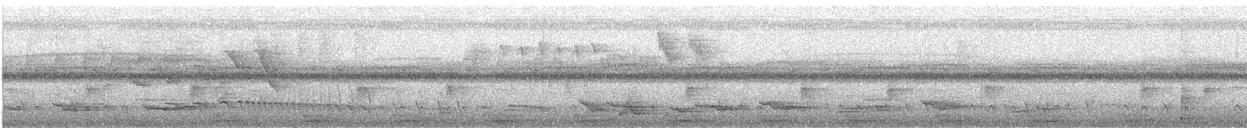 フイリコチュウハシ - ML623542981