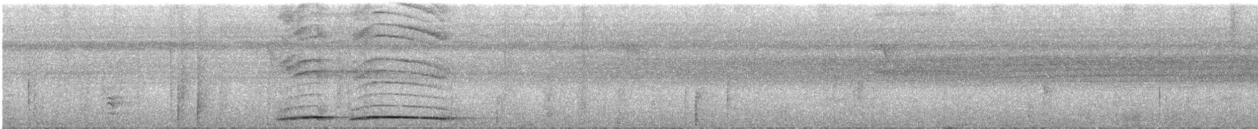 Halmahera Pittası (maxima) - ML623547943