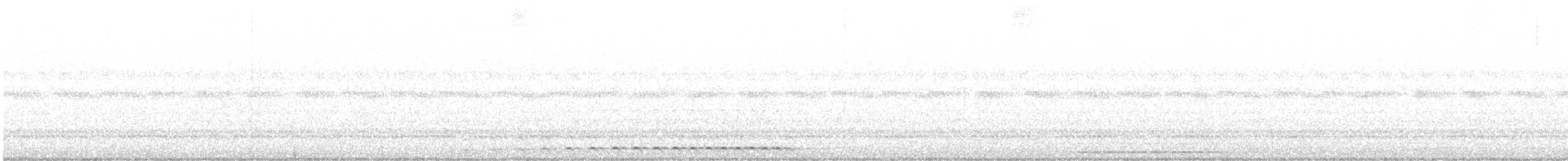 výreček západní - ML623548636