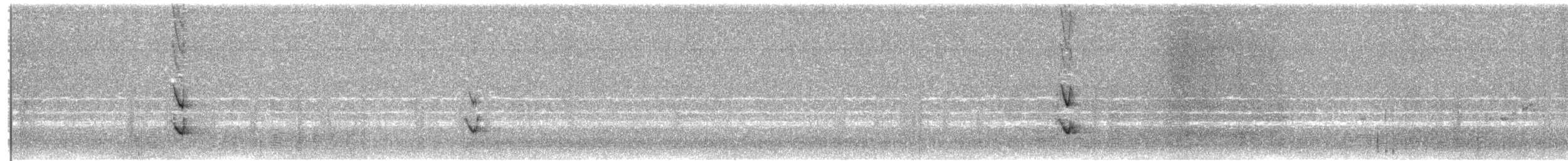 פרוש כחול - ML623552191