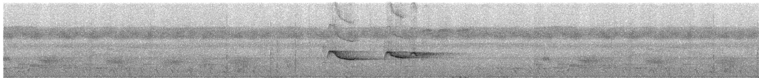 Ringed Antpipit - ML623560376