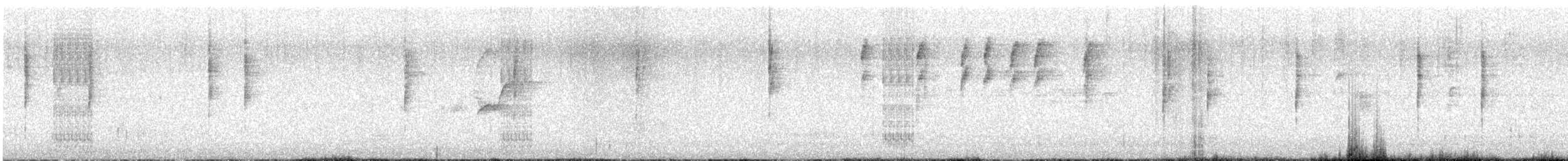 Western Flycatcher (Pacific-slope) - ML623573374