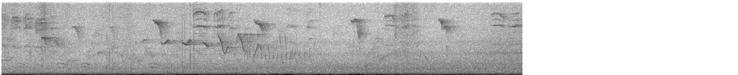 Louisiana Waterthrush - ML623574377