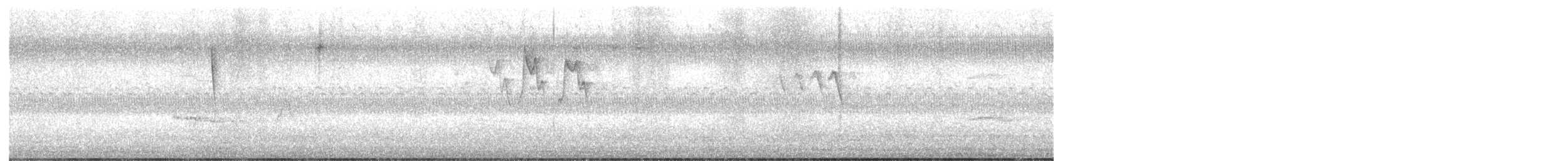 סבכון חכלילי - ML623579759