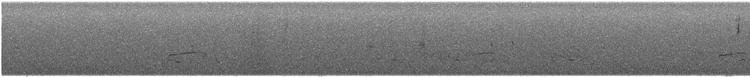 Western/Eastern Wood-Pewee - ML623584545