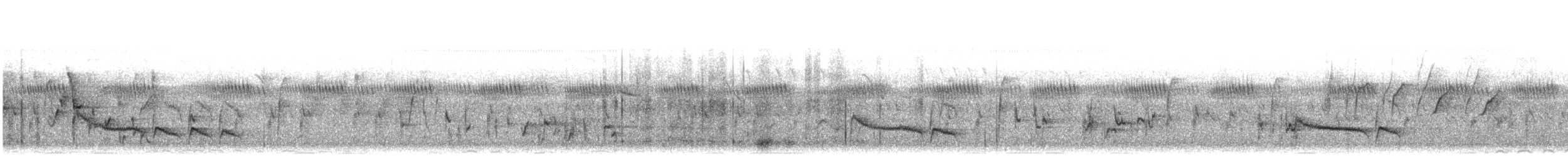 Pied Cuckoo - ML623587880
