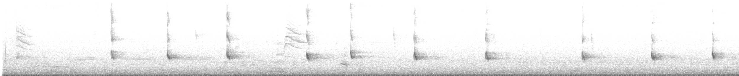 Quiscale violet - ML623600243