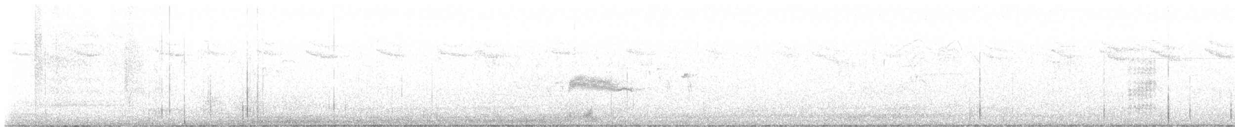 Western Wood-Pewee - ML623602976