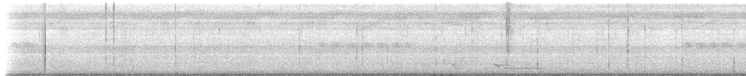 bredstripemeisetimal (bornensis gr.) - ML623606667