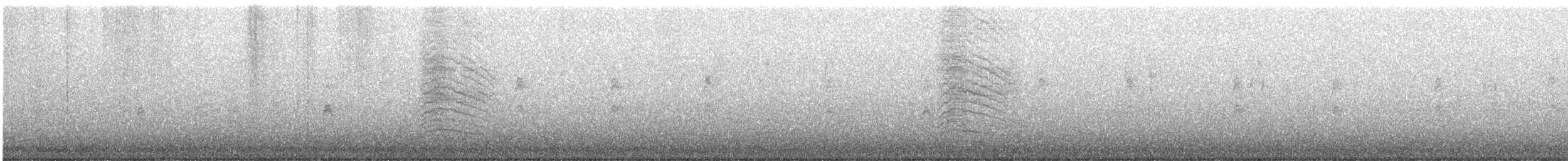 Gray Catbird - ML623616725