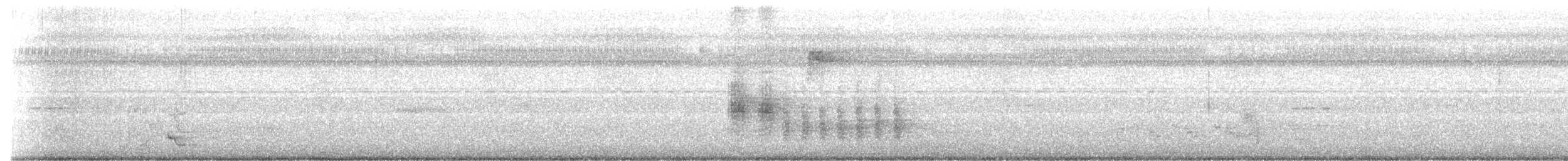 bredstripemeisetimal (bornensis gr.) - ML623623507