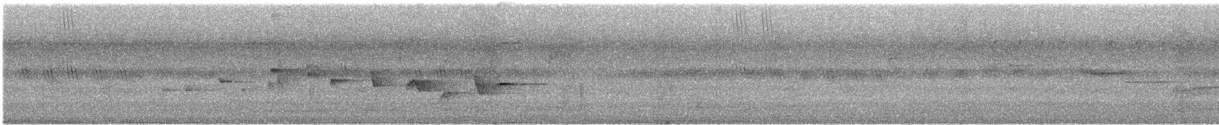 Philippine Pied-Fantail - ML623628996