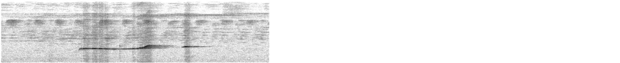 Olivaceous Schiffornis - ML623632811