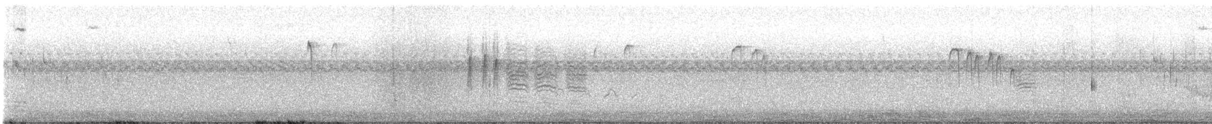 Mésange à tête noire - ML623637317
