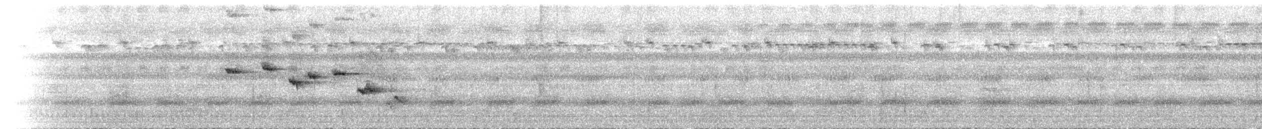 Supertramp Fantail - ML623639037