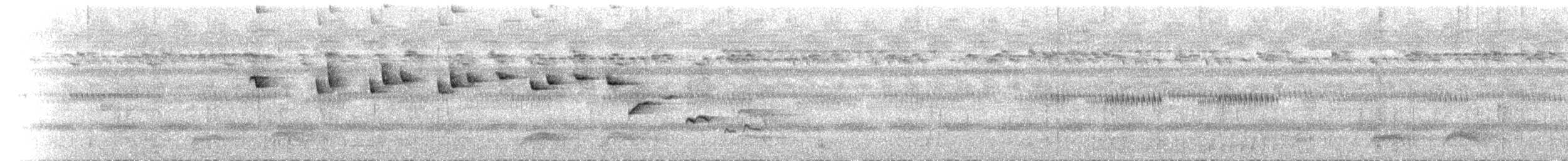 Supertramp Fantail - ML623639038