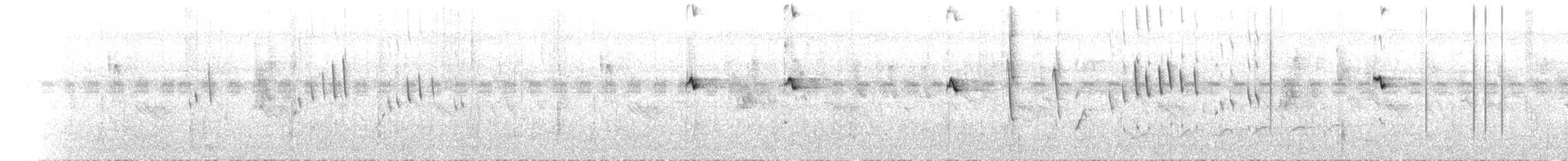 Supertramp Fantail - ML623639258