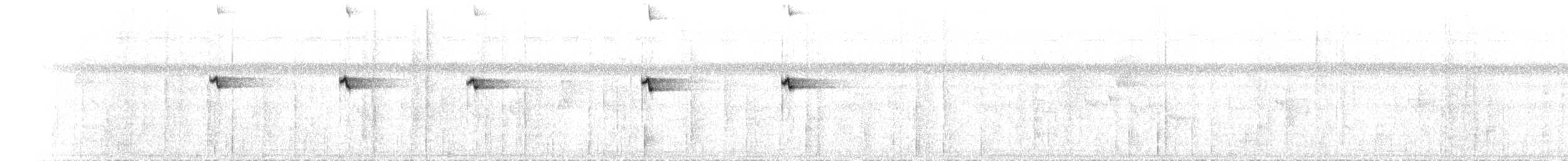 Supertramp Fantail - ML623639362
