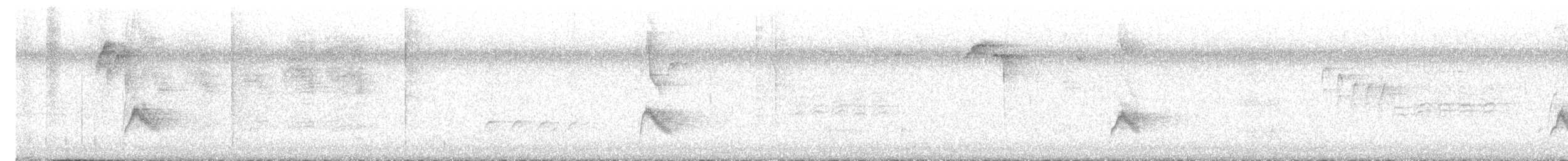Gray-cheeked Thrush - ML623649514
