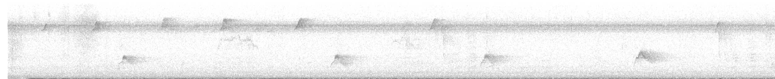 Gray-cheeked Thrush - ML623649536