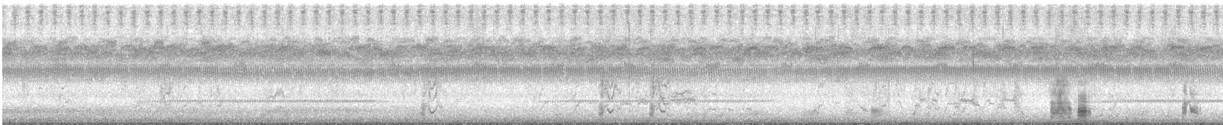 husa/husice/berneška sp. - ML623654607