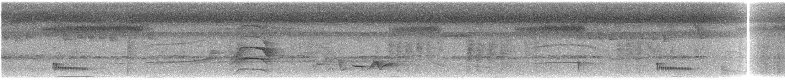 Southern Bentbill - ML623658295