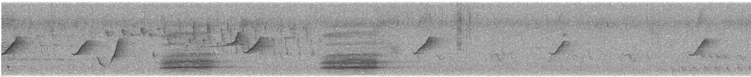 Forest Raven - ML623661861