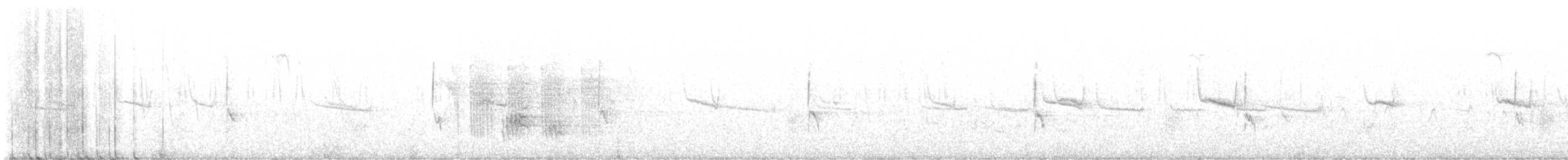 Pipit à long bec - ML623664808