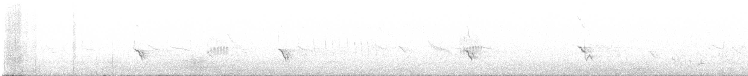 Pipit à long bec - ML623664809