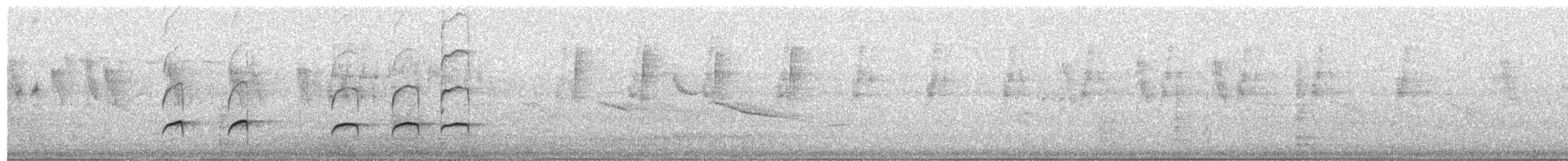 Pale-edged Flycatcher - ML623666963