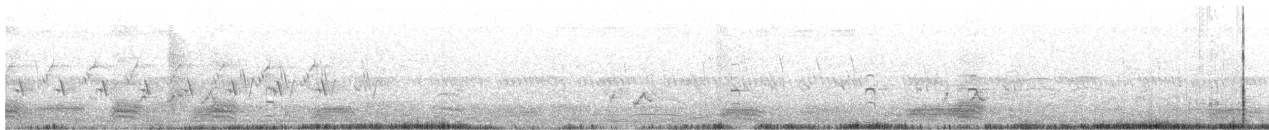 ギンパラ - ML623667693