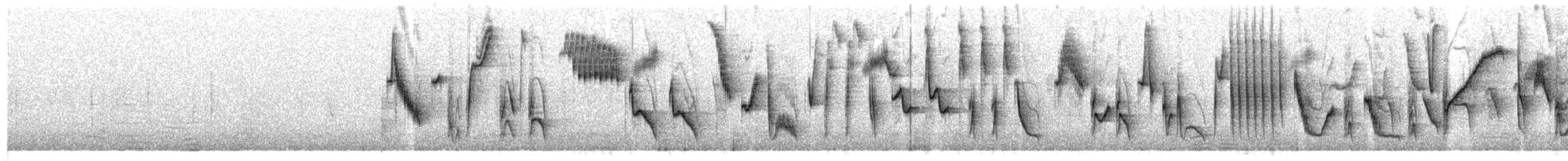 Tohi à nuque claire - ML623668676