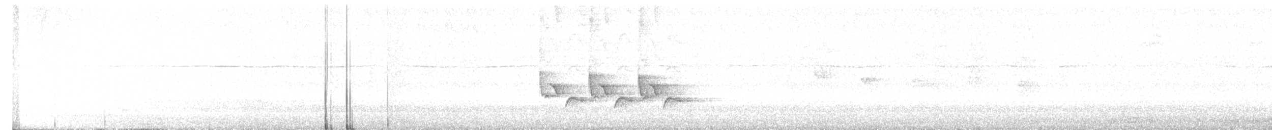 Carolina Wren - ML623669186